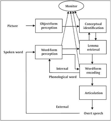 Inner speech and the body error theory